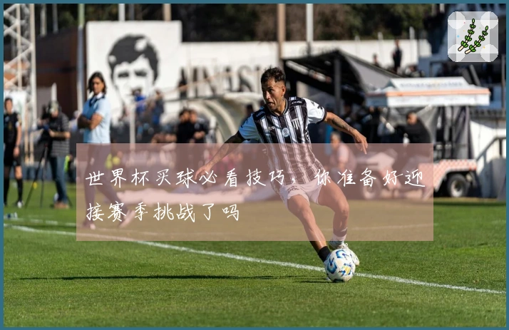 世界杯买球必看技巧，你准备好迎接赛季挑战了吗