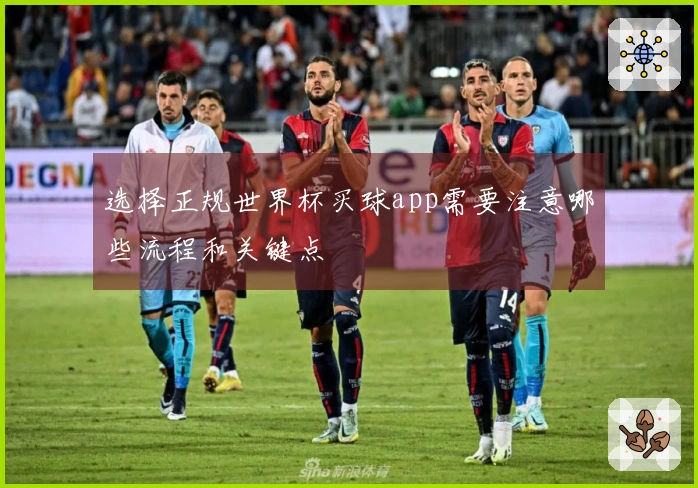 选择正规世界杯买球app需要注意哪些流程和关键点