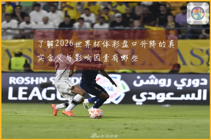 了解2026世界杯体彩盘口升降的真实含义与影响因素有哪些