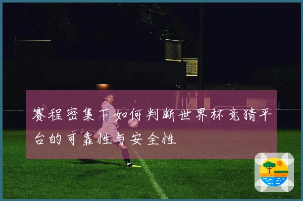 赛程密集下如何判断世界杯竞猜平台的可靠性与安全性