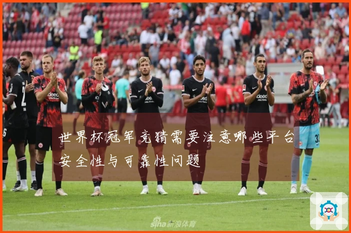 世界杯冠军竞猜需要注意哪些平台安全性与可靠性问题