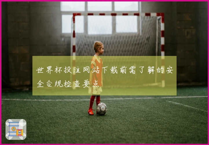 世界杯投注网站下载前需了解的安全合规检查要点