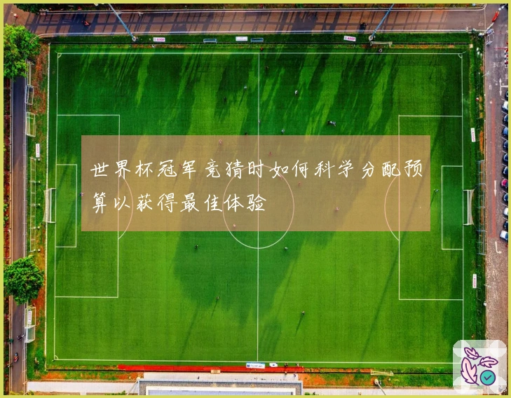 世界杯冠军竞猜时如何科学分配预算以获得最佳体验