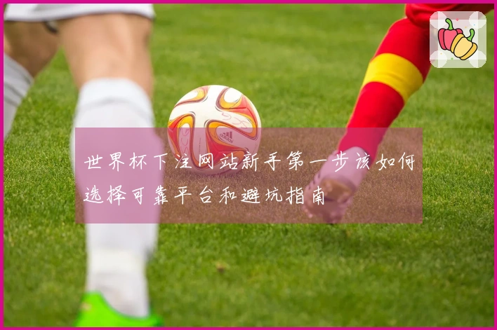 世界杯下注网站新手第一步该如何选择可靠平台和避坑指南