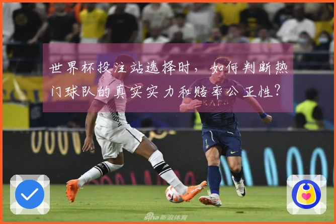 世界杯投注站选择时，如何判断热门球队的真实实力和赔率公正性？
