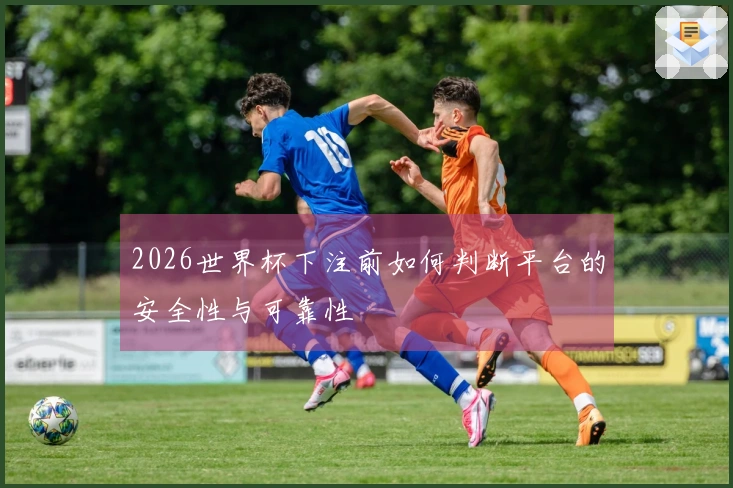2026世界杯下注前如何判断平台的安全性与可靠性