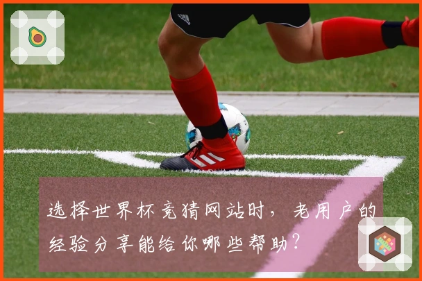 选择世界杯竞猜网站时，老用户的经验分享能给你哪些帮助？