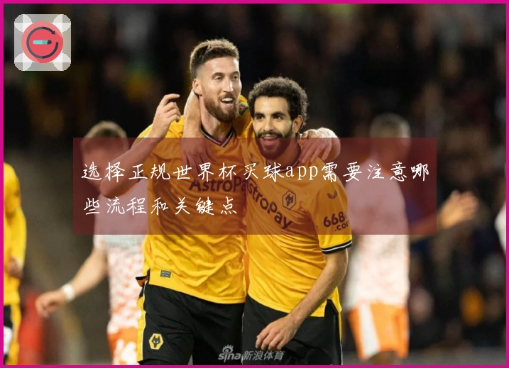 选择正规世界杯买球app需要注意哪些流程和关键点