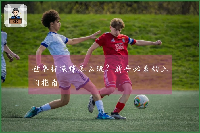 世界杯滚球怎么玩？新手必看的入门指南