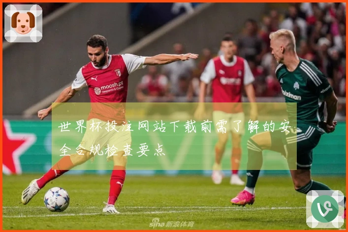 世界杯投注网站下载前需了解的安全合规检查要点