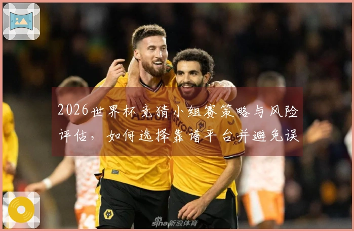 2026世界杯竞猜小组赛策略与风险评估，如何选择靠谱平台并避免误区？