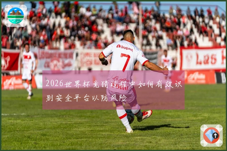 2026世界杯竞猜过程中如何有效识别安全平台以防风险