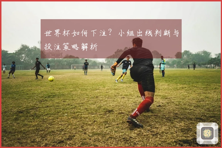世界杯如何下注？小组出线判断与投注策略解析